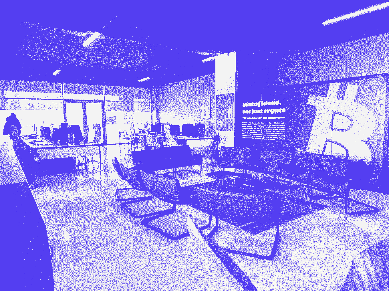 Vinu Digital ofisinin “Mining ideas, not just crypto” duvarı önündeki dinlenme alanı